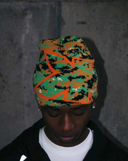 Beanie ж Reversible